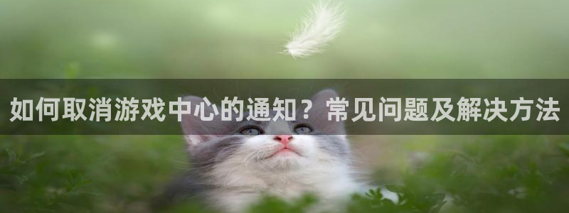 运达娱乐