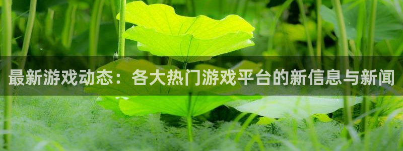 运达娱乐平台登录