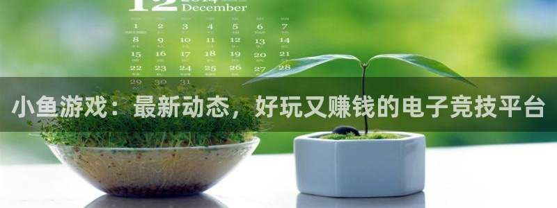 运达娱乐线路测试